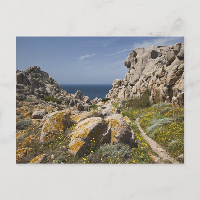 Cartes Pour Fêtes Annuelles Italie, Sardaigne, Père Noël Teresa Gallura. Capo  (Devant)