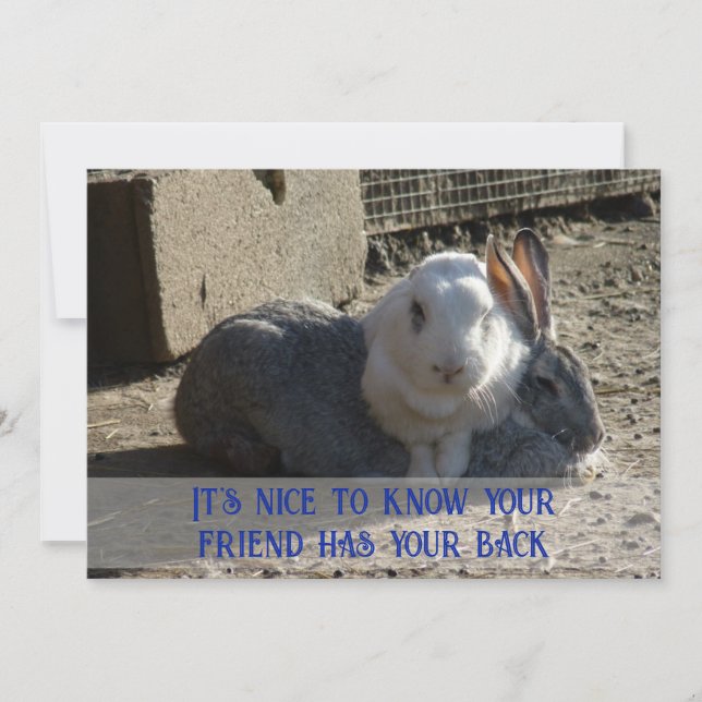 Cartes Pour Fêtes Annuelles it's nice to know ... (Devant)