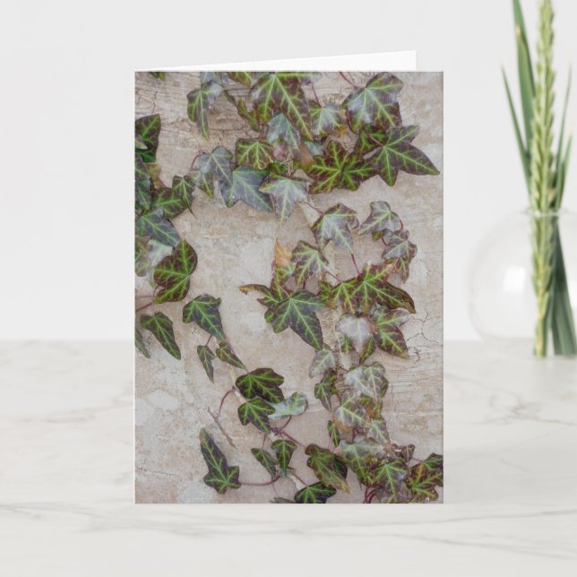 Cartes Pour Fêtes Annuelles Ivy sur le tronc d'arbre (Devant)