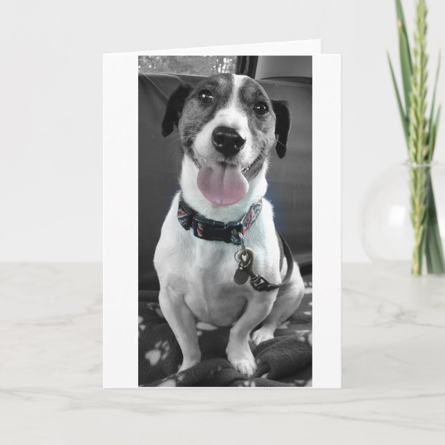 Cartes Pour Fêtes Annuelles Jack Russell (Devant)