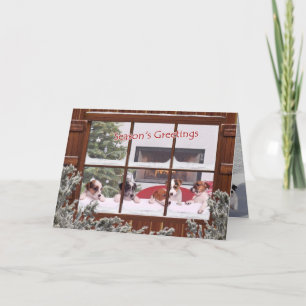 Cartes Pour Fêtes Annuelles Jack Russell étreint et embrasse des Bonnes Fêtes