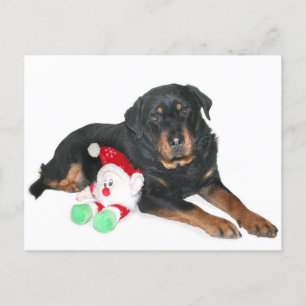 Cartes Pour Fêtes Annuelles J'ai été bon Père Noël