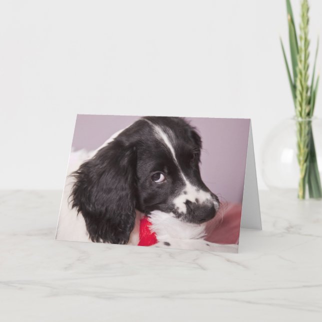 Cartes Pour Fêtes Annuelles J'ai mangé le Père Noël (Devant)