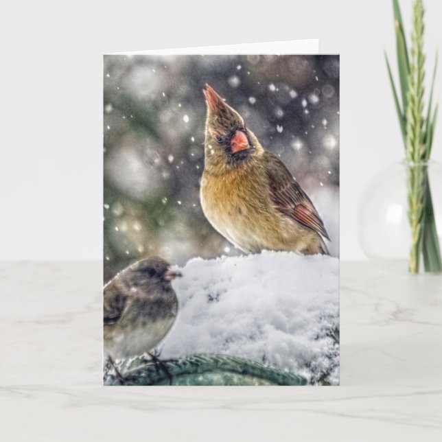 Cartes Pour Fêtes Annuelles J'ai mon oeil sur vous (Devant)