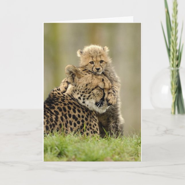 Cartes Pour Fêtes Annuelles J'aime ma maman (Devant)
