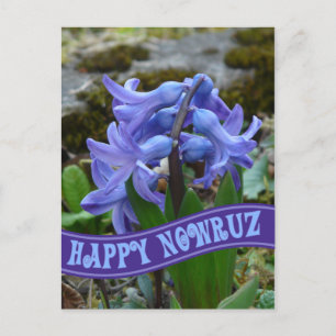 Cartes Pour Fêtes Annuelles Jardin bleu Hyacinth Nouvel An iranien Nowrooz