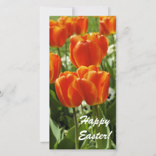 Cartes Pour Fêtes Annuelles Jardin de tulipes printanières