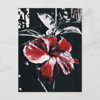 Cartes Pour Fêtes Annuelles Jardin Hibiscus Tropical Artwork