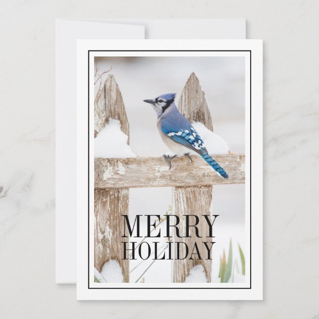 Cartes Pour Fêtes Annuelles Jay Bleu perché sur la clôture de neige (Devant)