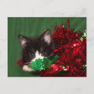 Cartes Pour Fêtes Annuelles Je regarde Père Noël