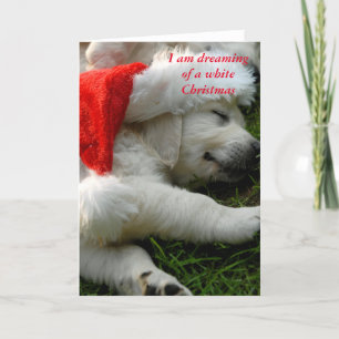 Cartes Pour Fêtes Annuelles Je rêve d'un x-mas blanc