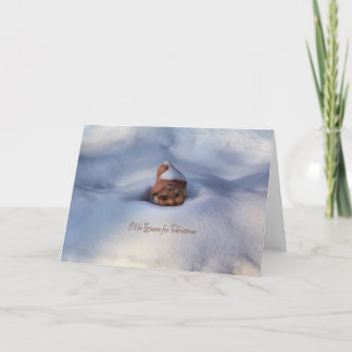 Cartes Pour Fêtes Annuelles Je serai gnome pour Noël