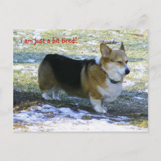 CARTES POUR FÊTES ANNUELLES JE SUIS JUSTE UN PEU FATIGUÉ ! ,