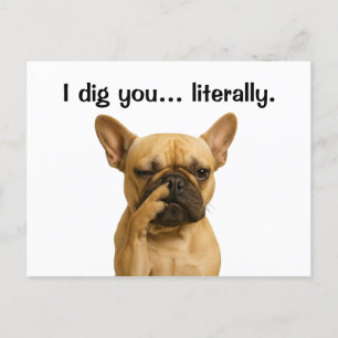 Cartes Pour Fêtes Annuelles Je T'Ai Creusé... Littéralement Français Chien De 
