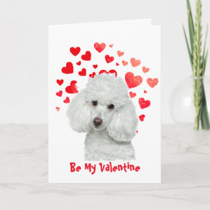 Cartes Pour Fêtes Annuelles Je t'aime, caniche, chien Valentine