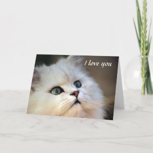Cartes Pour Fêtes Annuelles je t'aime - chaton