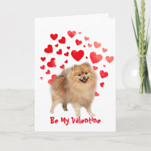 Cartes Pour Fêtes Annuelles Je t'aime Chien Poméranien Valentine