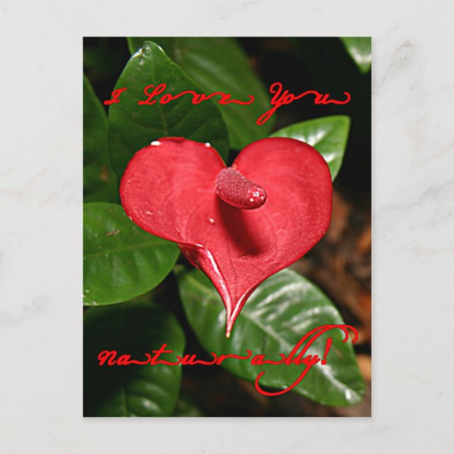 Cartes Pour Fêtes Annuelles Je t'aime naturellement ! - Saint-Valentin + (Devant)