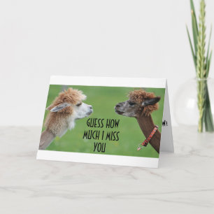 CARTES POUR FÊTES ANNUELLES JE TE MANQUE SUFFISAMMENT POUR T'ENVOYER UN MILLIO