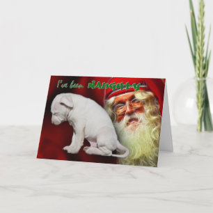 Cartes Pour Fêtes Annuelles Je vais appeler Naughty. Désolé