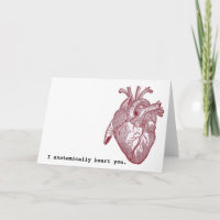 Je vous coeur anatomiquement