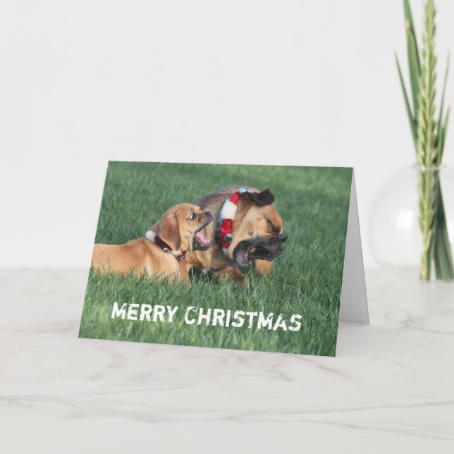 Cartes Pour Fêtes Annuelles Je vous souhaite un joyeux Noël (Devant)