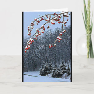 Cartes Pour Fêtes Annuelles Je Vous Souhaite Une Belle Saison De Noël !