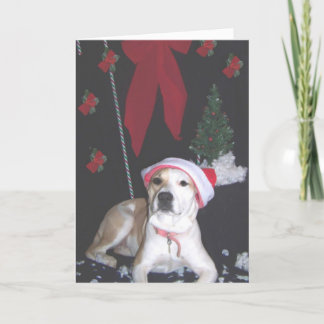 Cartes Pour Fêtes Annuelles Jerzy-deuxième-Noël