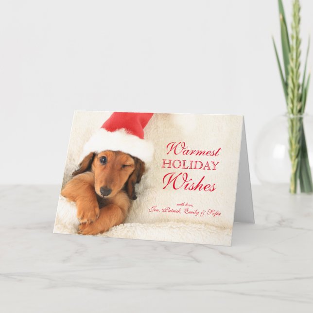 Cartes Pour Fêtes Annuelles Jeune basset à longs poils clignant de l'œil (Devant)