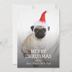 Cartes Pour Fêtes Annuelles Jeune carlin portant le chapeau de Père Noël