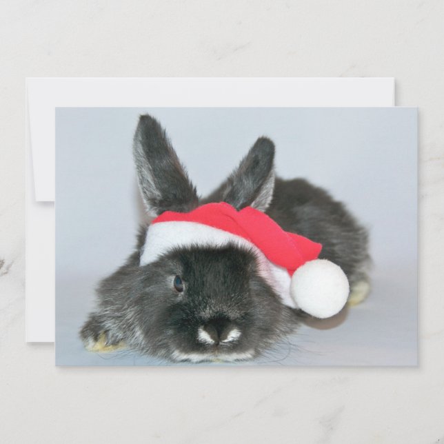 Cartes Pour Fêtes Annuelles Jeune lapin de Noël (Devant)