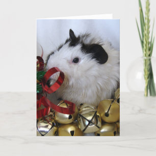 Cartes Pour Fêtes Annuelles Jingle Bell Guinée Pig