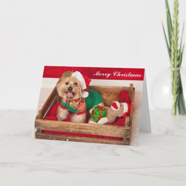 Cartes Pour Fêtes Annuelles Joey souhaite à chacun un Joyeux Noël (Devant)