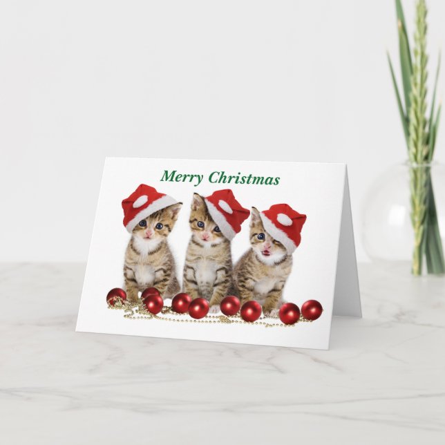 Cartes Pour Fêtes Annuelles Joli chatons Noël (Devant)