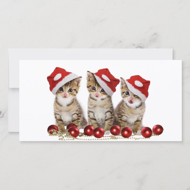 Cartes Pour Fêtes Annuelles Joli chatons Noël (Devant)