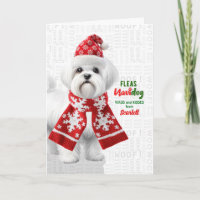 Joli chien Shih Tzu Drôle Navidog avec nom
