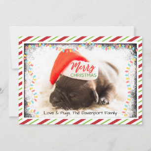 Cartes Pour Fêtes Annuelles Joli chiot Carlin avec un chapeau de Père Noël rou
