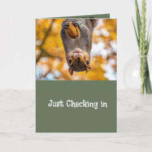 Cartes Pour Fêtes Annuelles Joli Écureuil Animal S'Amuser Se Bien
