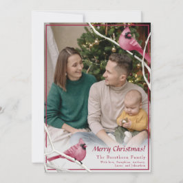 Cartes Pour Fêtes Annuelles Joli Noël Cardinal Bird Photo famille