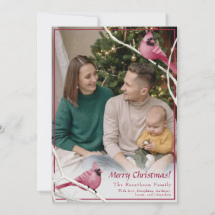 Cartes Pour Fêtes Annuelles Joli Noël Cardinal Bird Photo famille