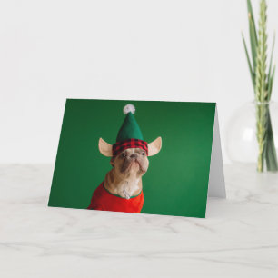 Cartes Pour Fêtes Annuelles Joli Noël Français Chien-taureau Elf