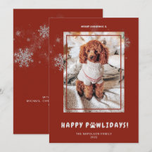 Joli Noël Joyeux Joyeux PAWlidays Photo Animaux