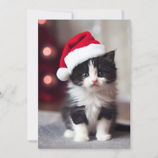 Cartes Pour Fêtes Annuelles Joli Noël Kitten