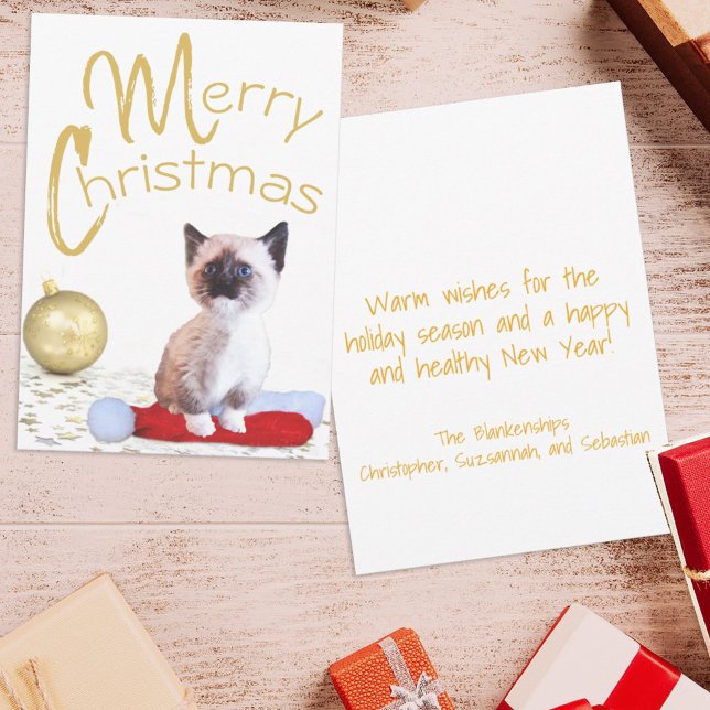 Cartes Pour Fêtes Annuelles Joli Noël Siamese Kitten Or Ornement (Créateur téléchargé)