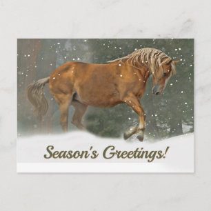 Cartes Pour Fêtes Annuelles Joli Palomino Brouillon Cheval dans la neige Noël