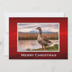 Cartes Pour Fêtes Annuelles Joli paysage d'oie Photo Appartement de Noël