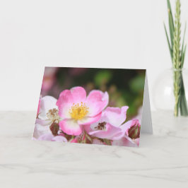 Cartes Pour Fêtes Annuelles joli rose fleur rose sauvage pour dames