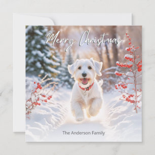 Cartes Pour Fêtes Annuelles Joli Sealyham Terrier Chien En Neige Joyeux Noël