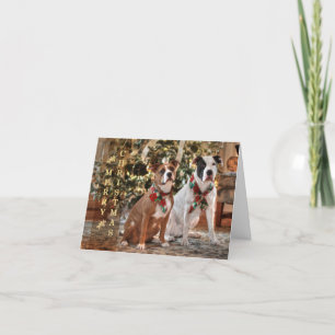 Cartes Pour Fêtes Annuelles Joli Secourt de Noël Pitbull et America Bull Dog