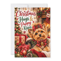 Joli Yorkshire Terrier Noël Câlins et Chiot